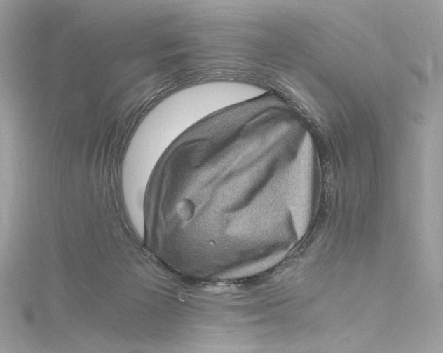 X0000115060125200911161616