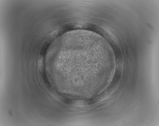 X0000115060127200911161616