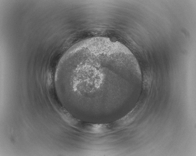 X0000115060130200911161616