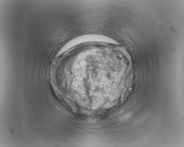 X0000115060131200911161616