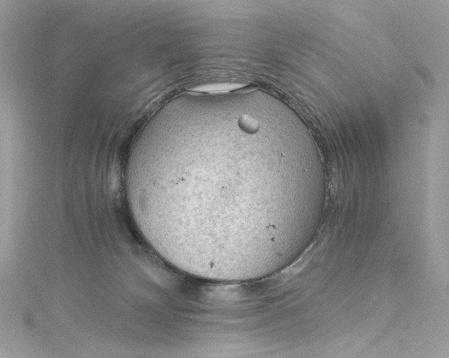 X0000115060132200911161616