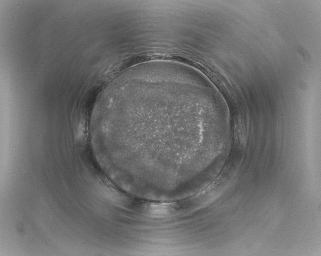 X0000115060134200911161616