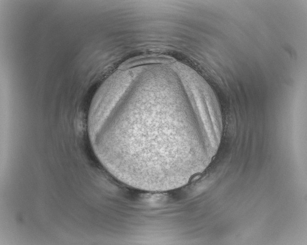 X0000115060135200911161616