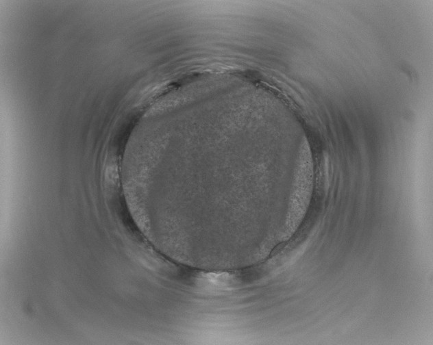 X0000115060137200911161616