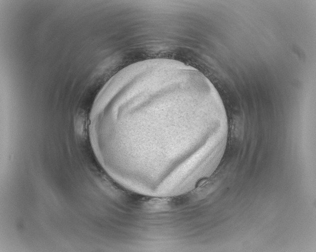 X0000115060138200911161616