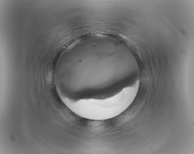 X0000115060139200911161616