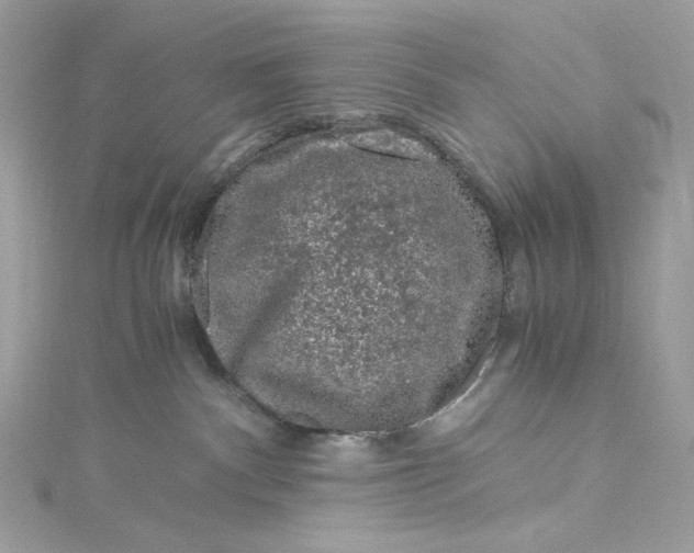 X0000115060140200911161616