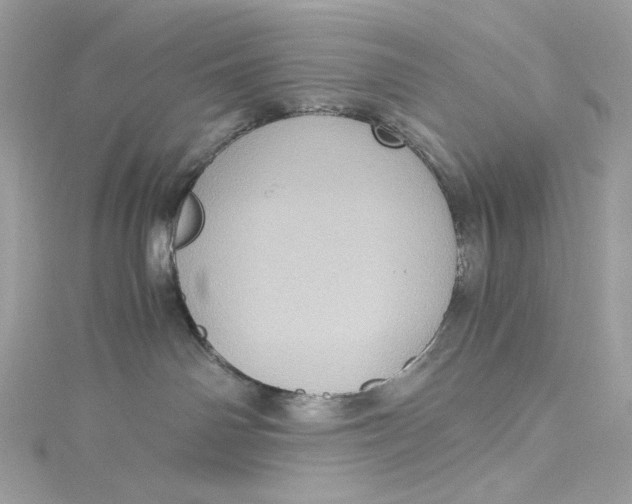 X0000115060142200911161616