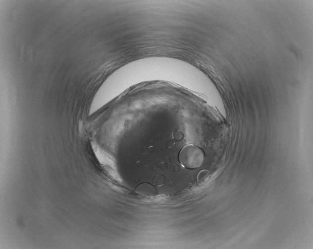 X0000115060143200911161616