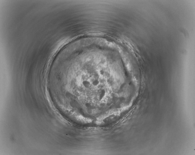 X0000115060145200911161616