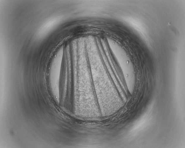 X0000115060146200911161616