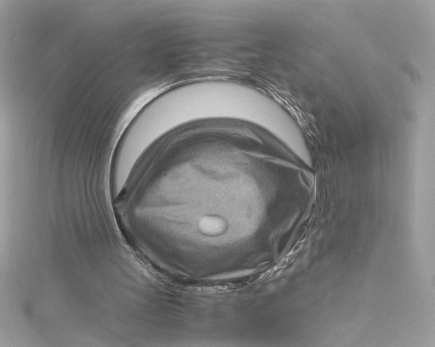 X0000115060147200911161616