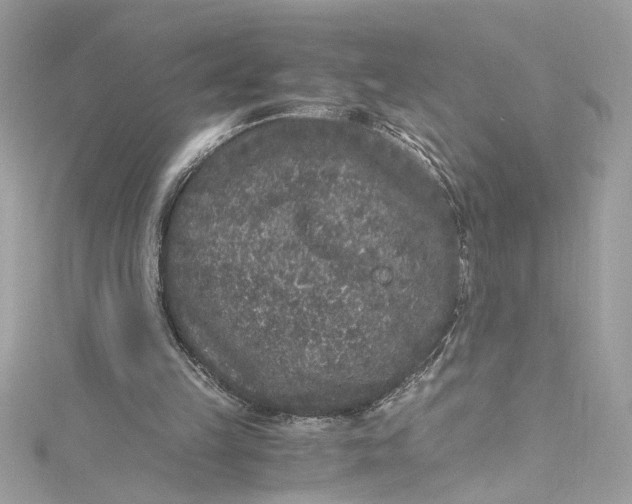 X0000115060149200911161616