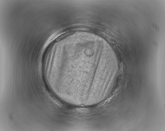 X0000115060150200911161616