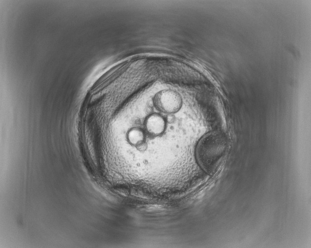 X0000115060151200911161616