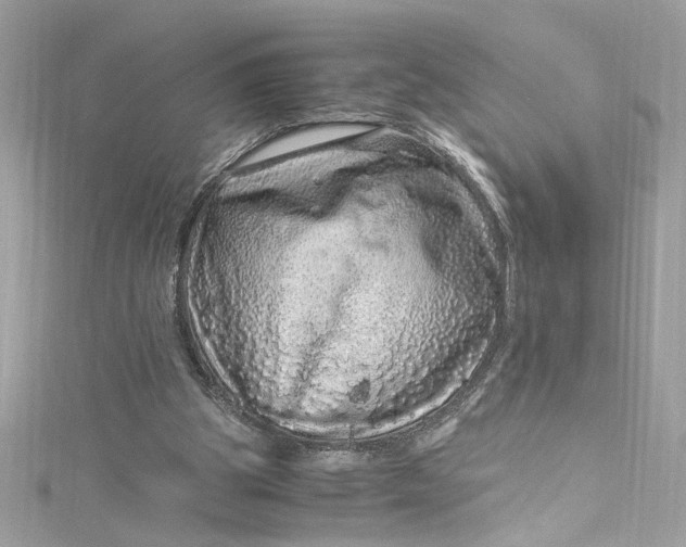 X0000115060153200911161616