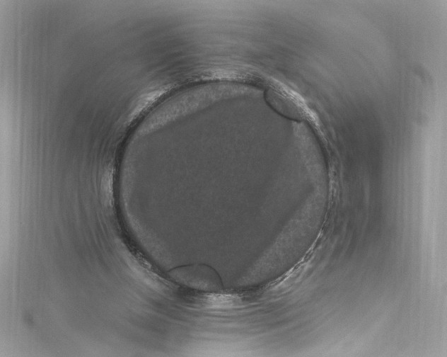 X0000115060154200911161616