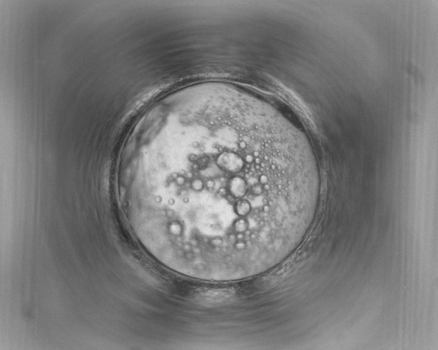 X0000115060155200911161616