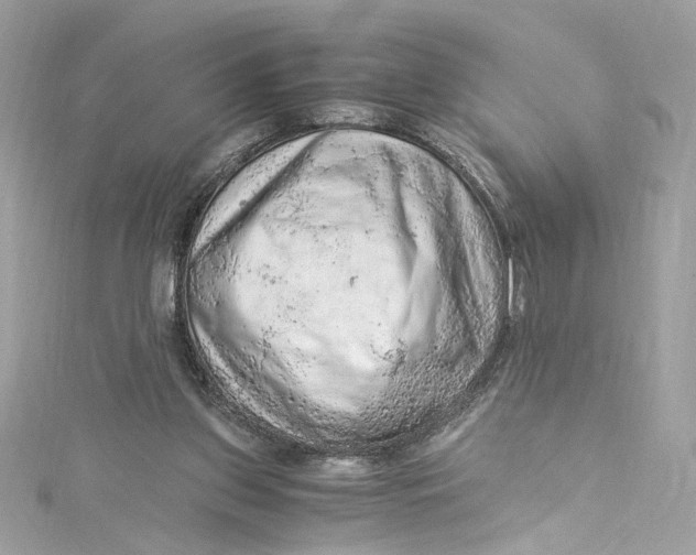 X0000115060157200911161616