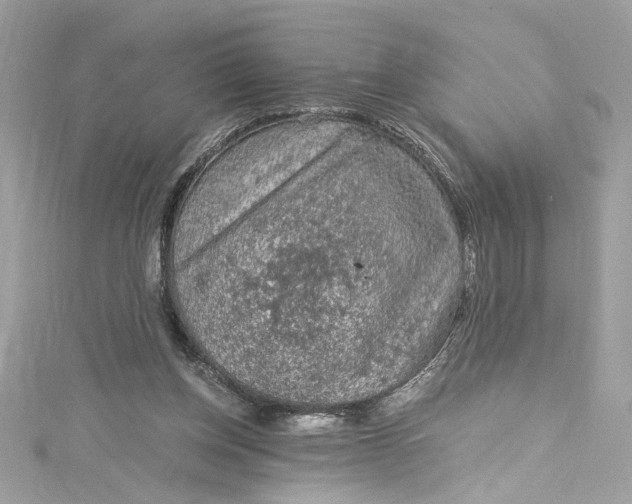 X0000115060158200911161616