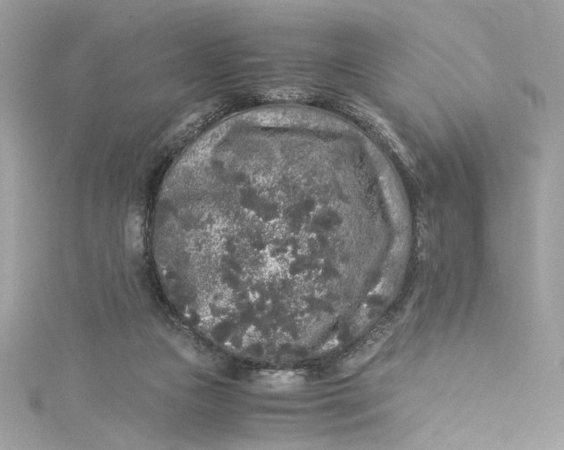 X0000115060161200911161616