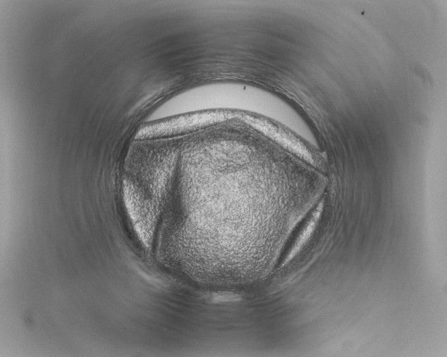 X0000115060165200911161616