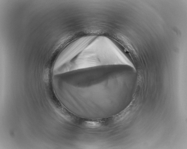 X0000115060167200911161616