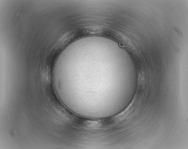 X0000115060170200911161616