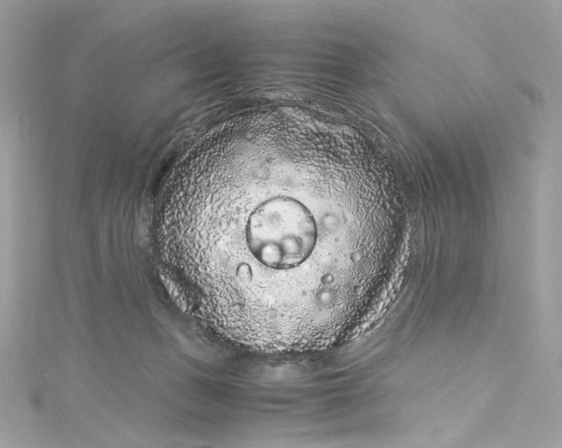 X0000115060175200911161616