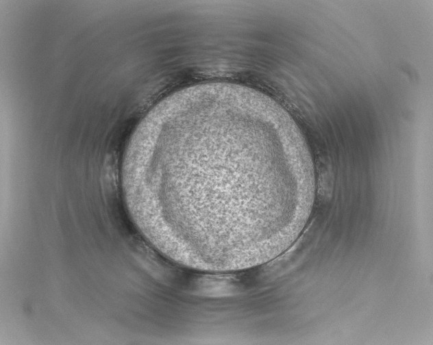 X0000115060179200911161616