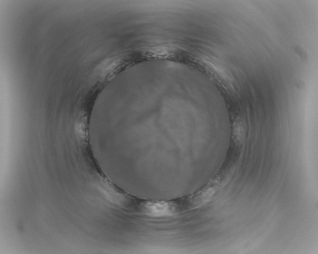 X0000115060181200911161616