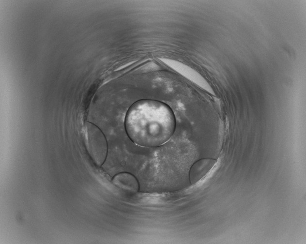 X0000115060182200911161616