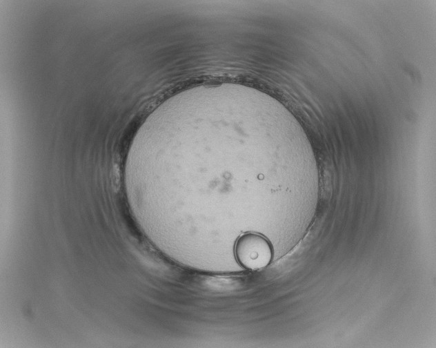 X0000115060183200911161616