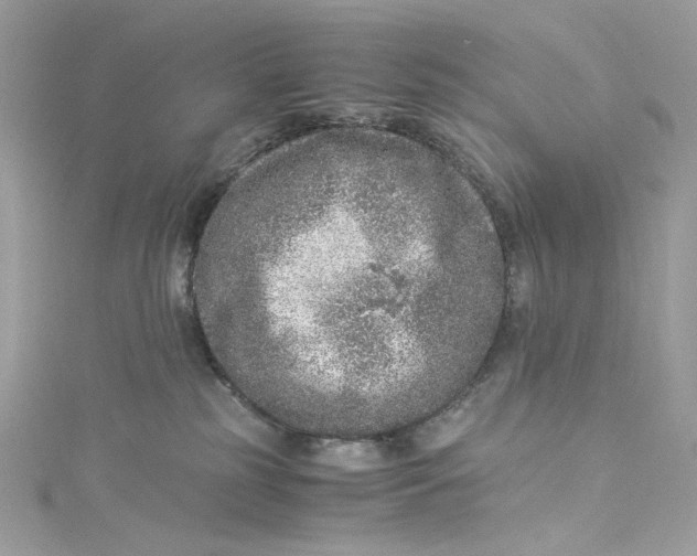 X0000115060185200911161616