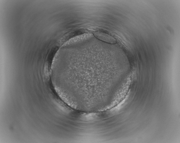 X0000115060186200911161616