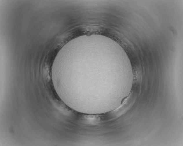 X0000115060187200911161616