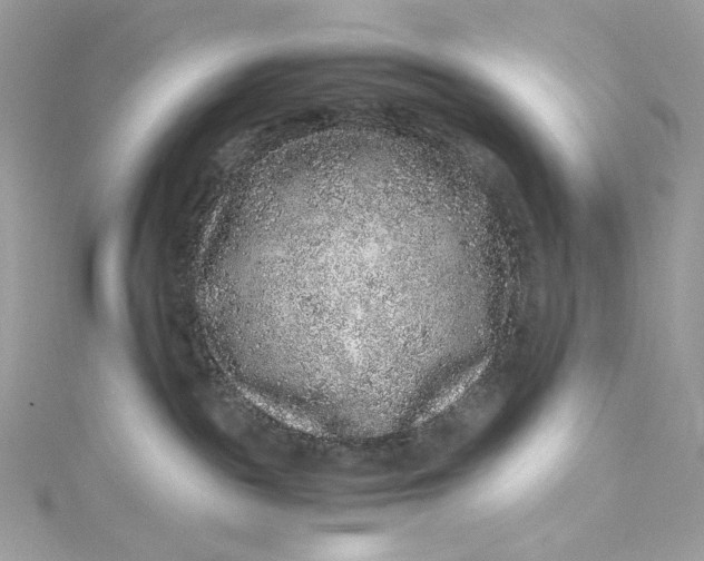 X0000115060189200911161616