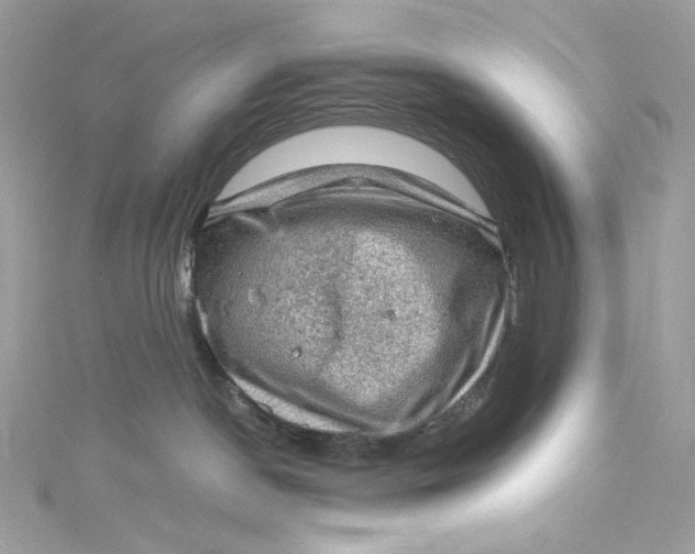 X0000115060190200911161616