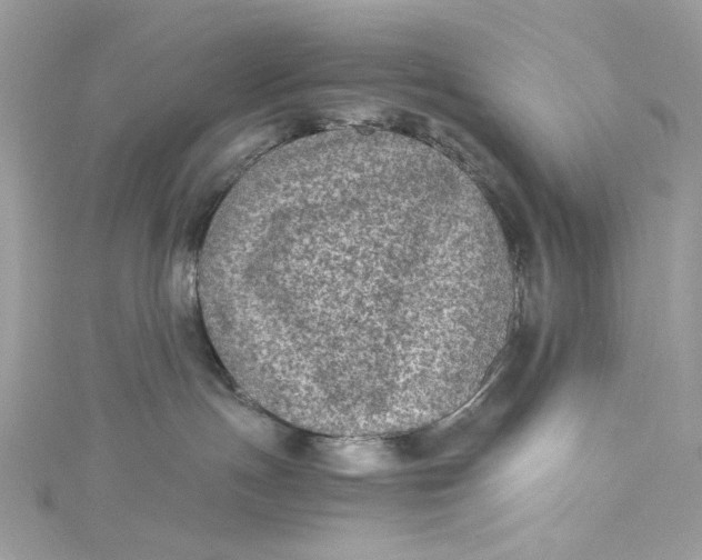 X0000115060191200911161616