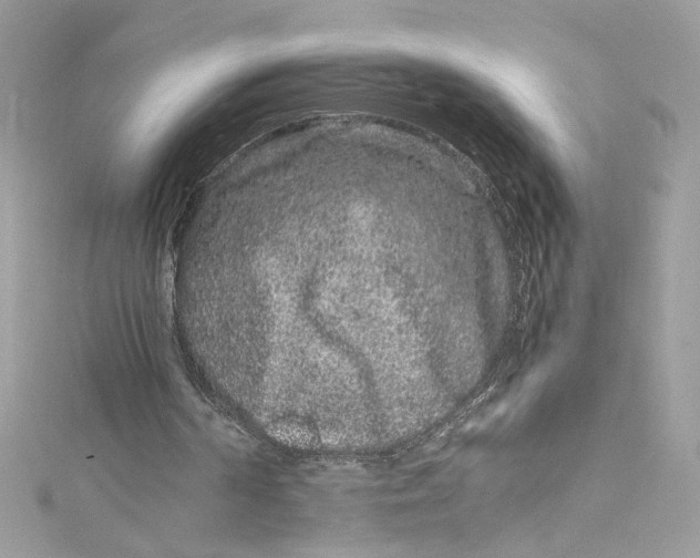 X0000115060194200911161616