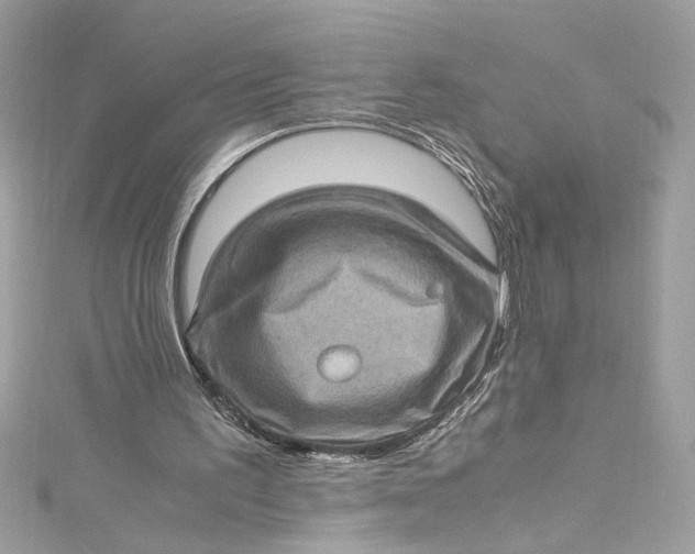 X0000115060195200911161616