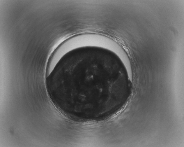 X0000115060196200911161616