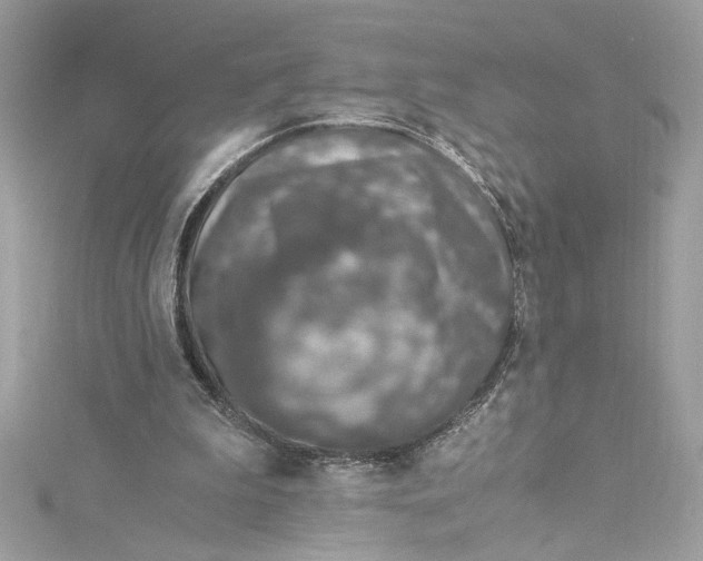 X0000115060199200911161615