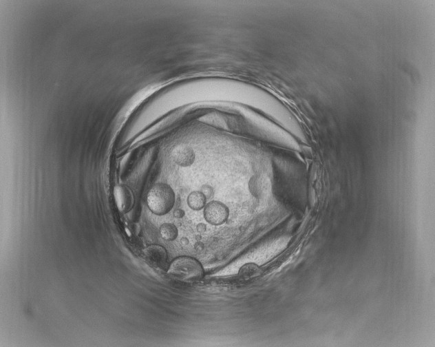 X0000115060200200911161615