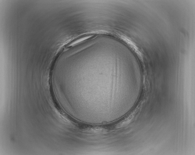 X0000115060201200911161615