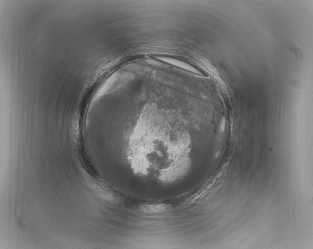 X0000115060202200911161615