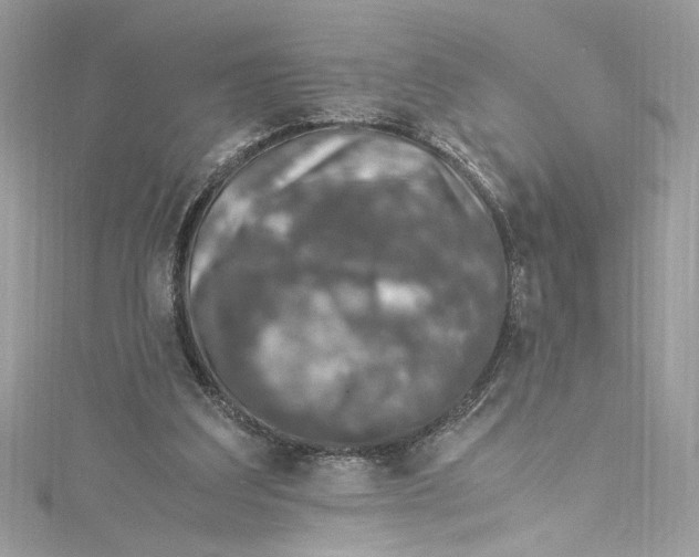 X0000115060203200911161615