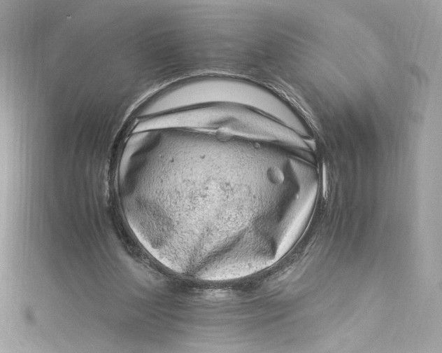 X0000115060204200911161615