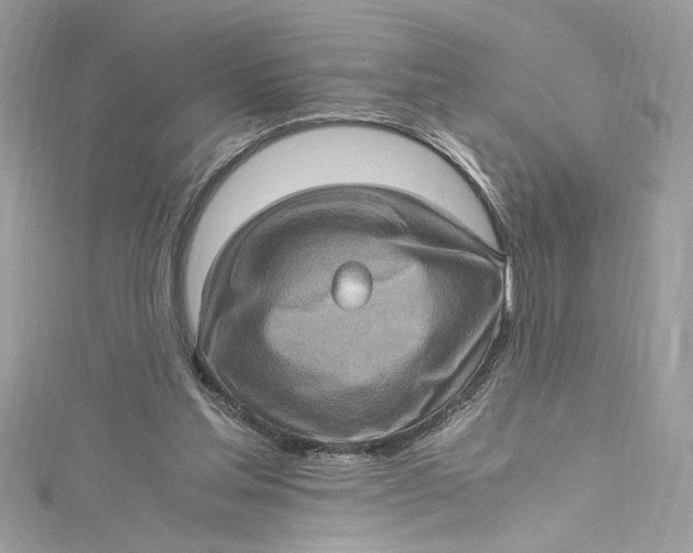 X0000115060205200911161615