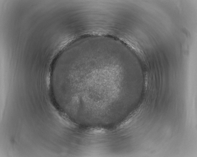 X0000115060206200911161615